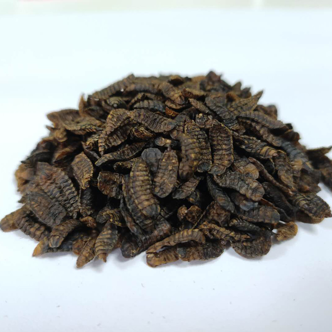 低溫蟲(chóng)干