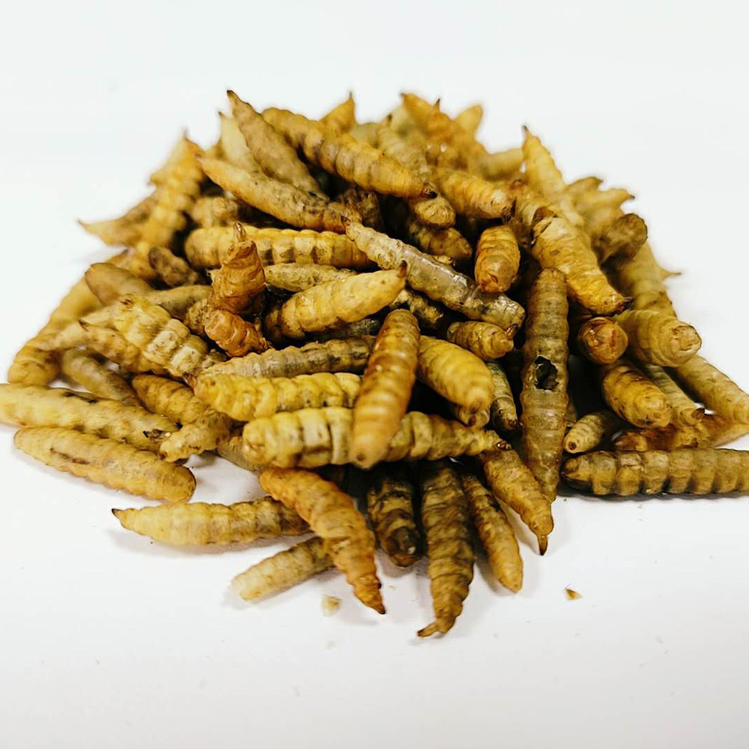 微波蟲(chóng)干